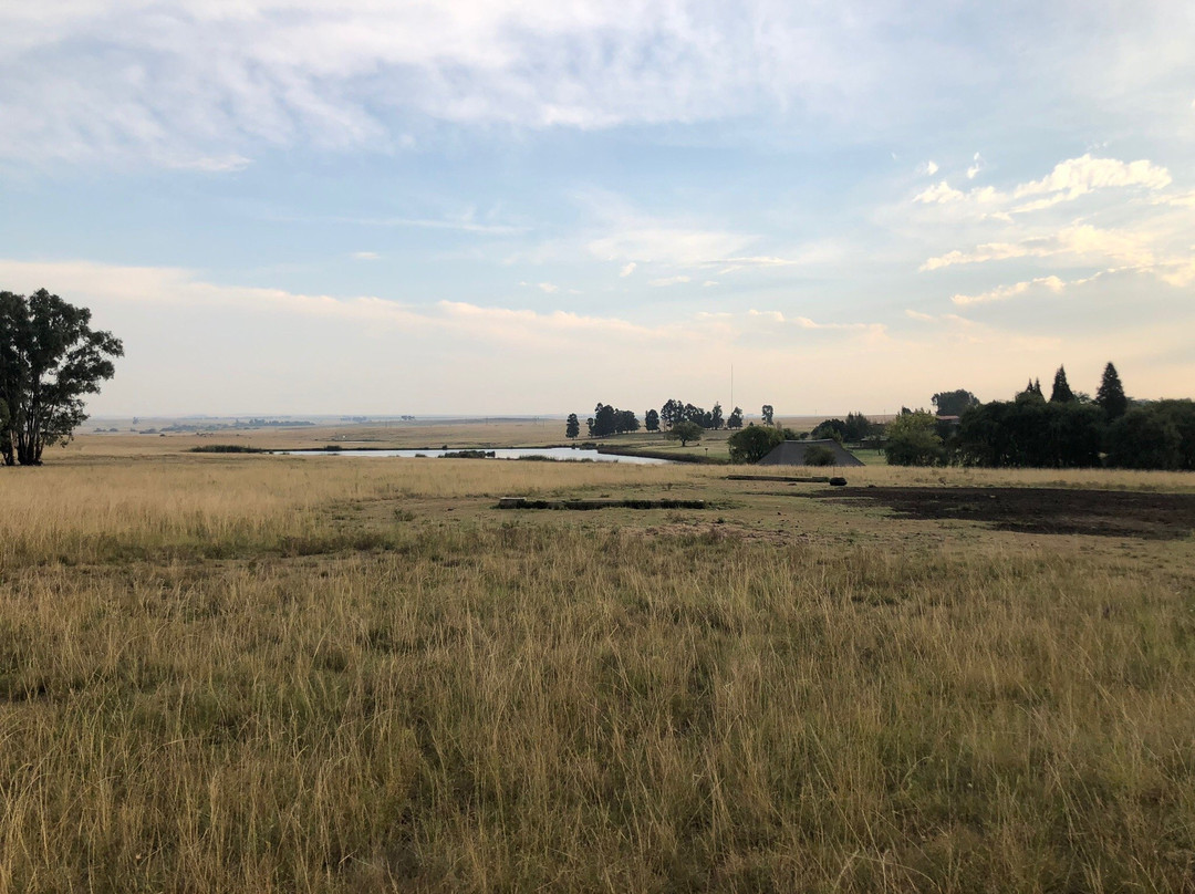 Francolin Creek主图