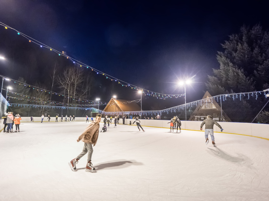 Czarny Groń Ice Skating Rink景点图片
