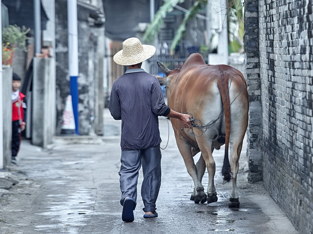 崖州古城-三亚市必去景点