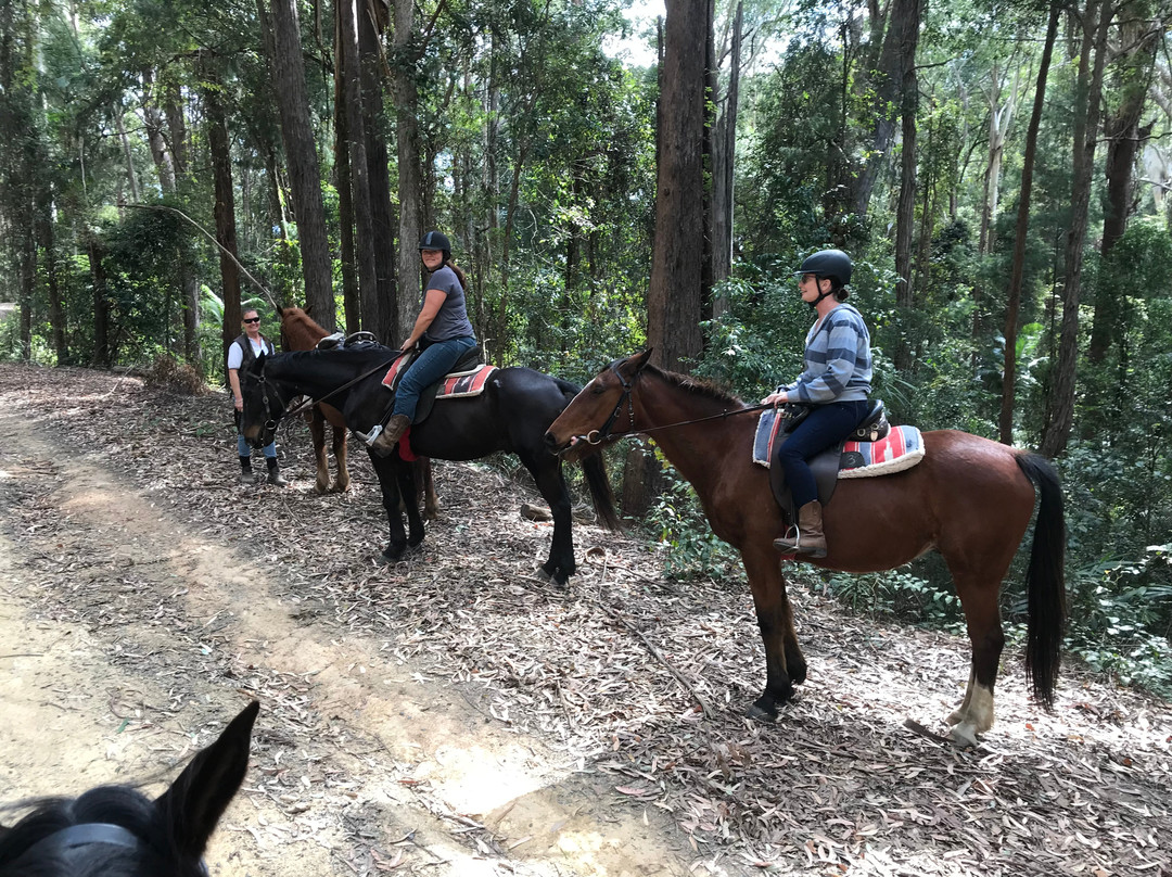 Valery Trails & Horse Riding Centre景点图片
