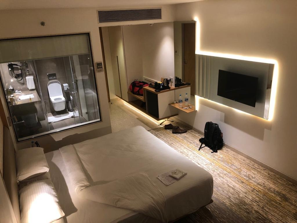 Sayaji Hotel Vadodara主图