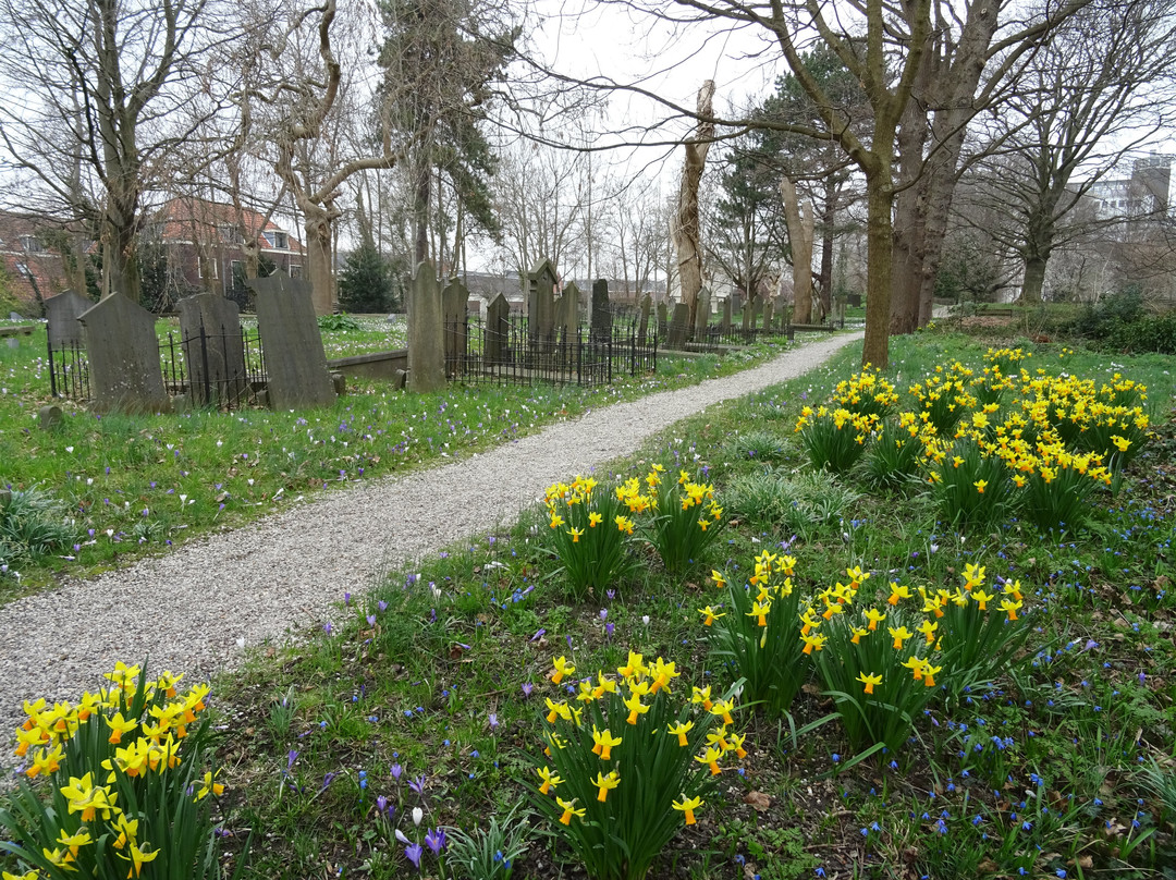 Begraafplaats Groenesteeg-莱顿必去景点