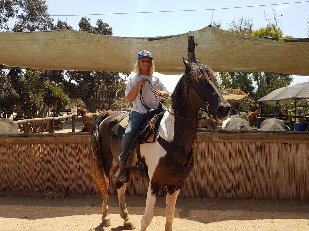 Cactus Ranch-Hadera必去景点