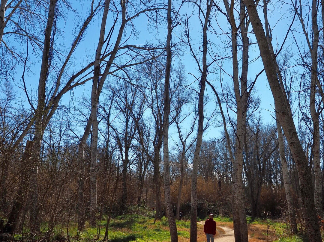 Parque Natural Municipal de la Mitjana-列伊达必去景点