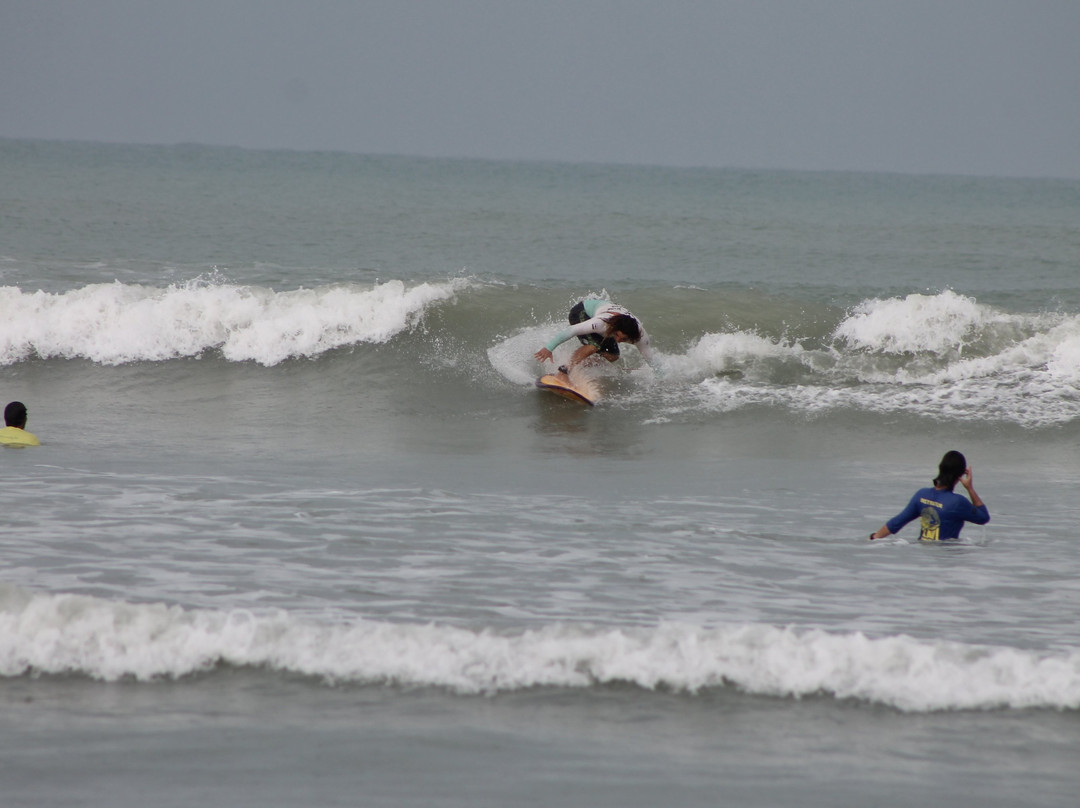 Bob Wind School-杰里科科拉必去景点