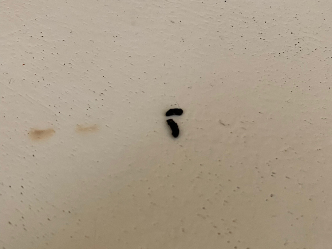 潜水洞穴度假村主图