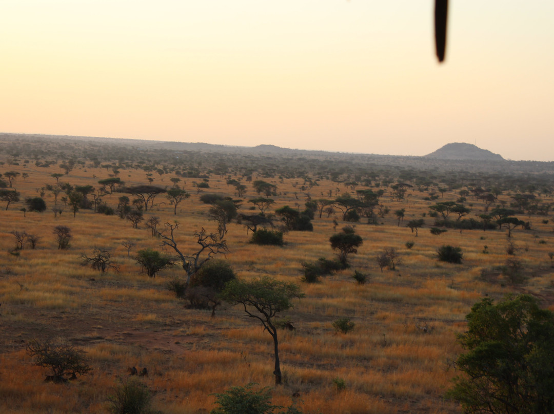 Ikoma Wild Camp主图