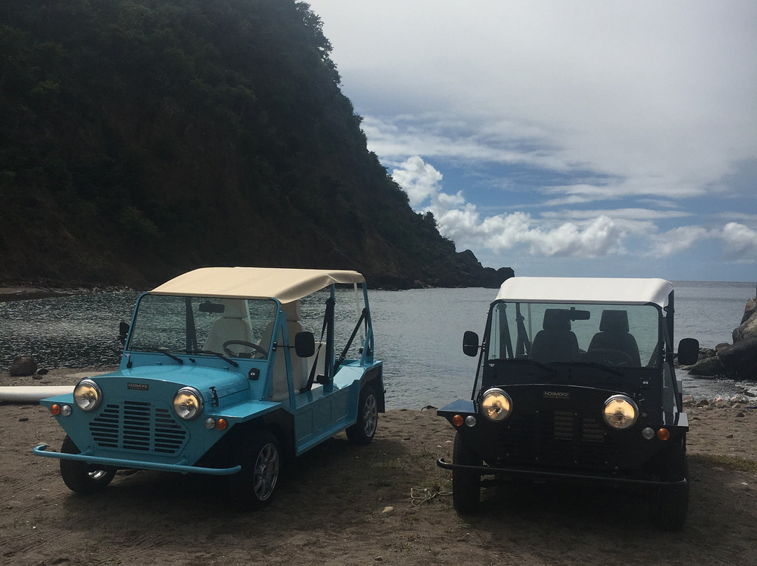 Iguana Locations-Terre-de-Bas必去景点