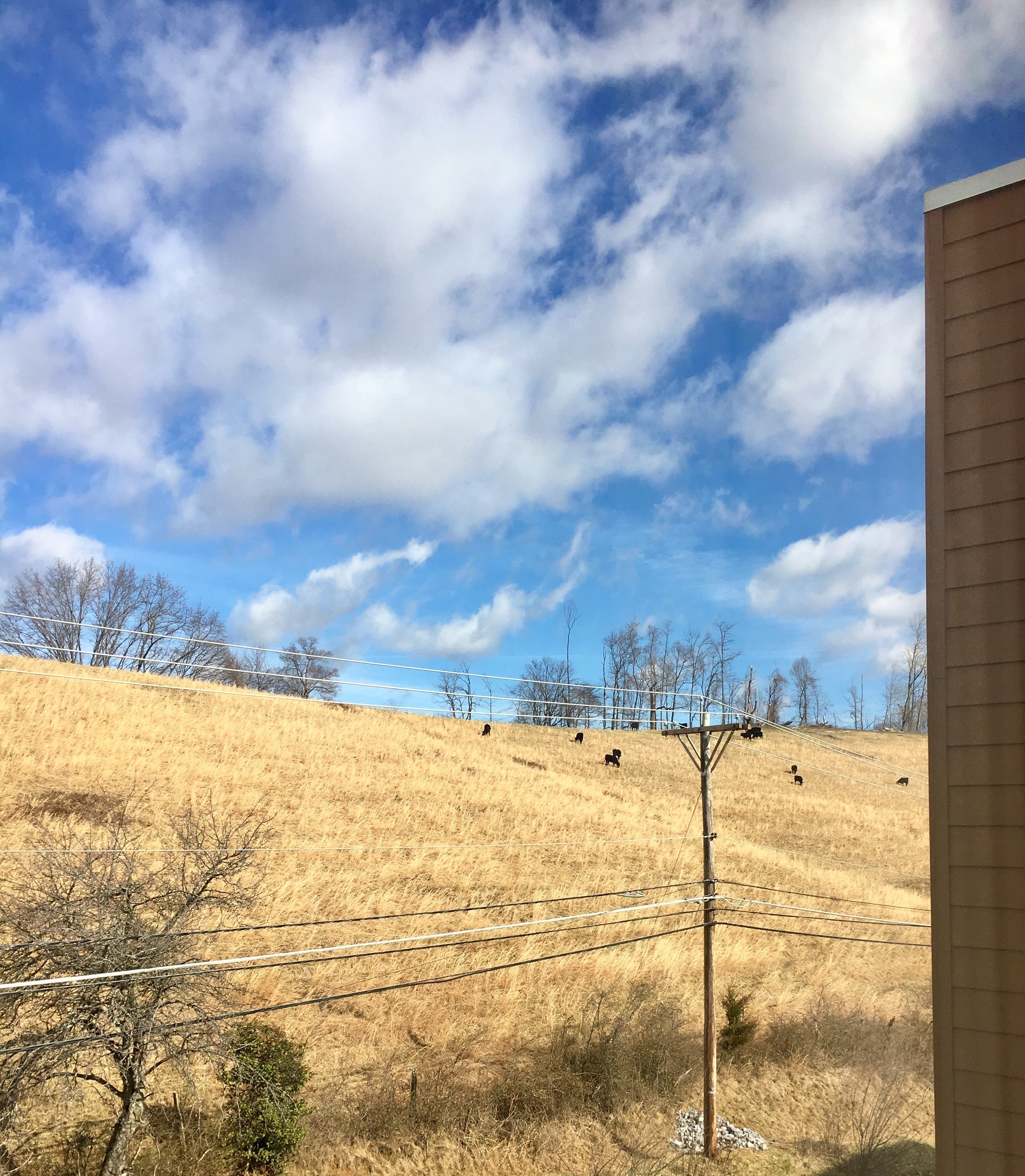 Fairfield Inn & Suites Abingdon-浴室