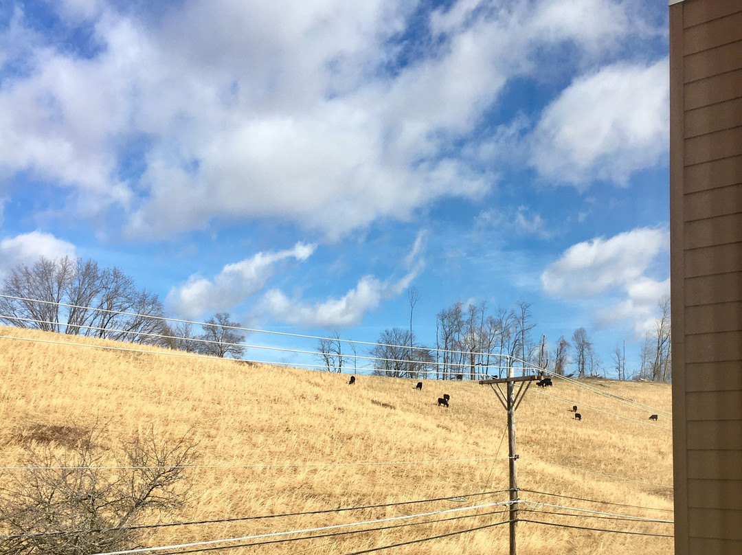 Fairfield Inn & Suites Abingdon主图