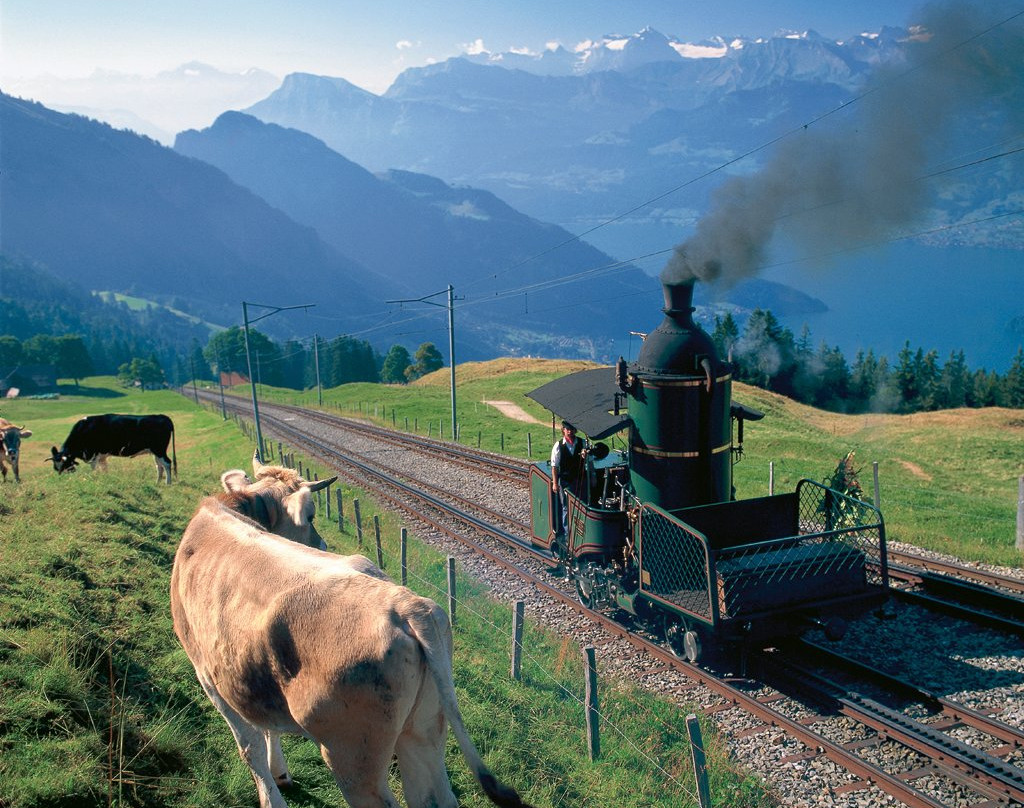 The Swiss Path-Seelisberg必去景点