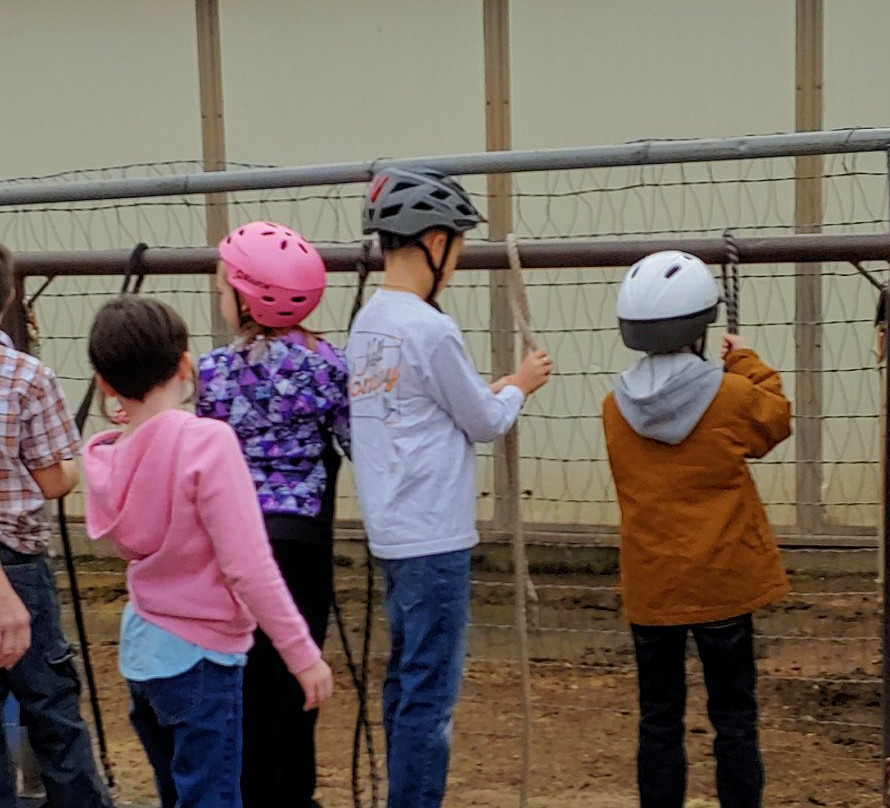 Patterson Farms-Star Valley必去景点