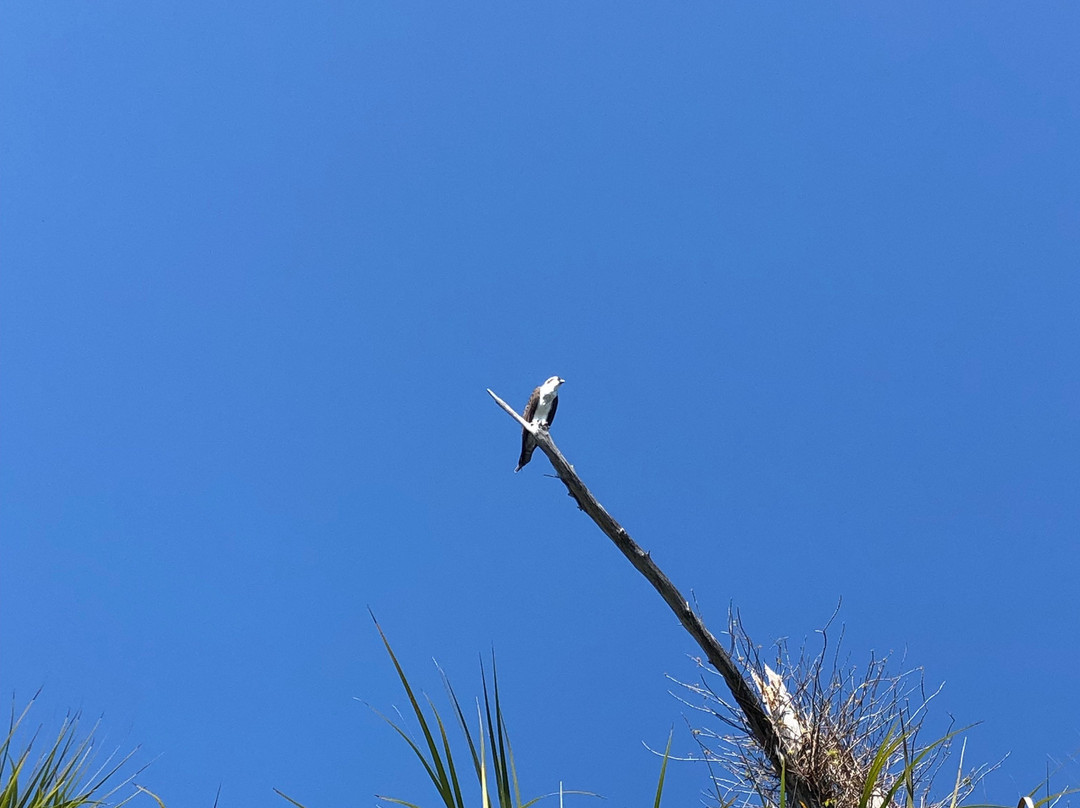 Mad Beach Paddlesports-特雷热岛必去景点