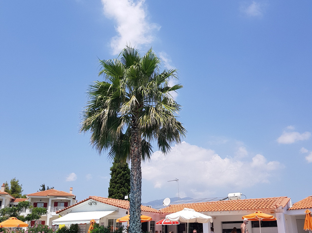 Hydrele Beach Hotel & Village主图