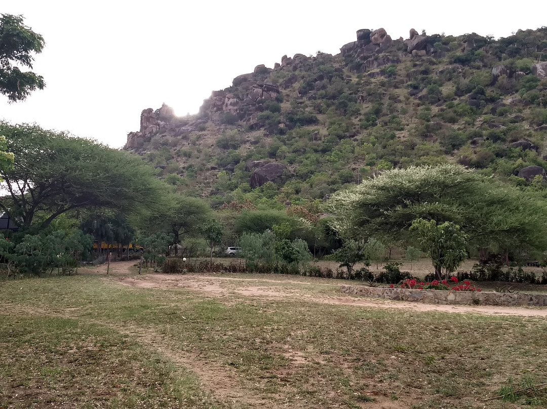 Tembea Mara at Balili Village主图