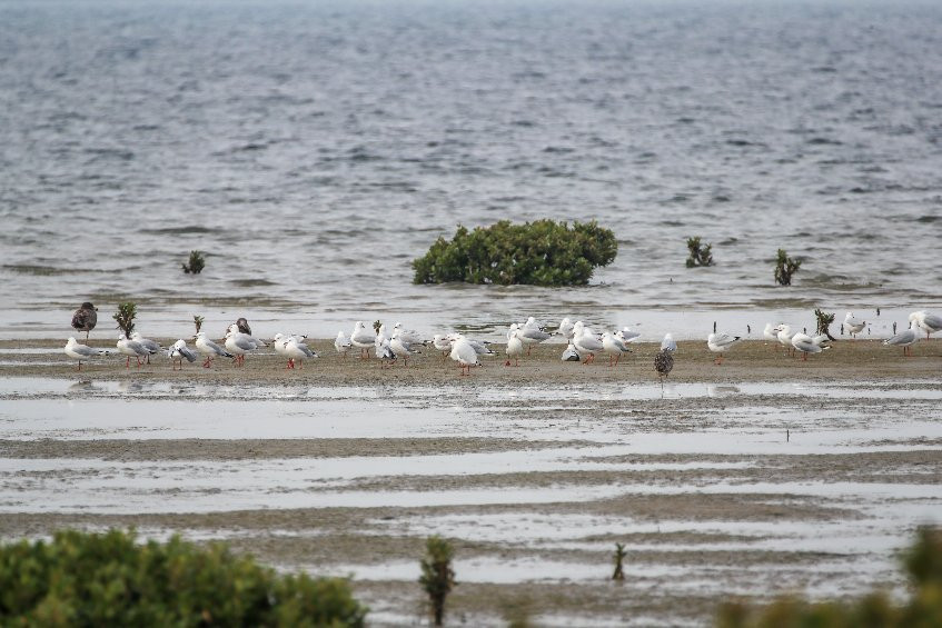 Toora Bird Hide-Toora必去景点