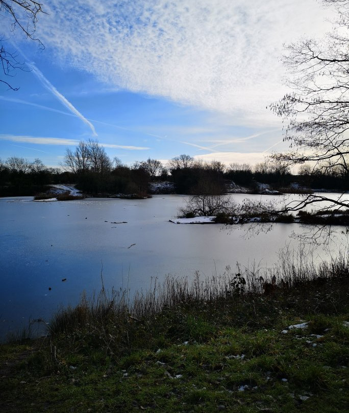 Longton Brickcroft Nature Reserve景点图片