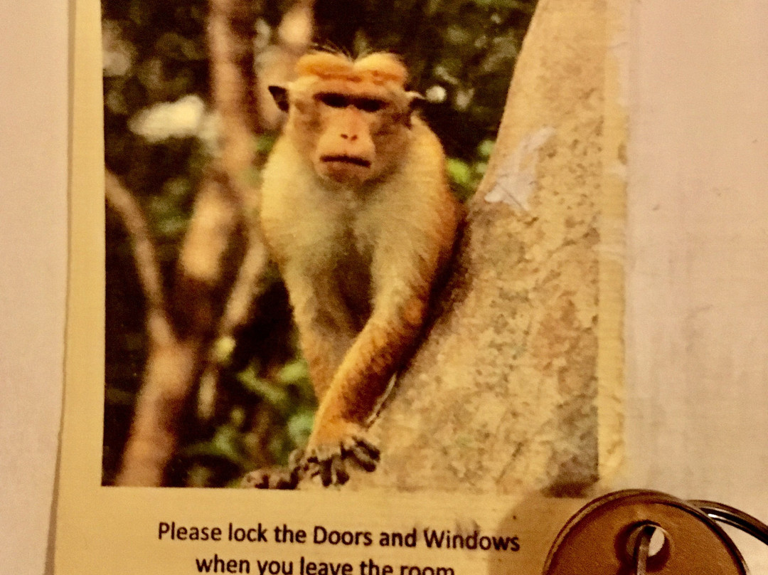 提沙维瓦保护区酒店主图