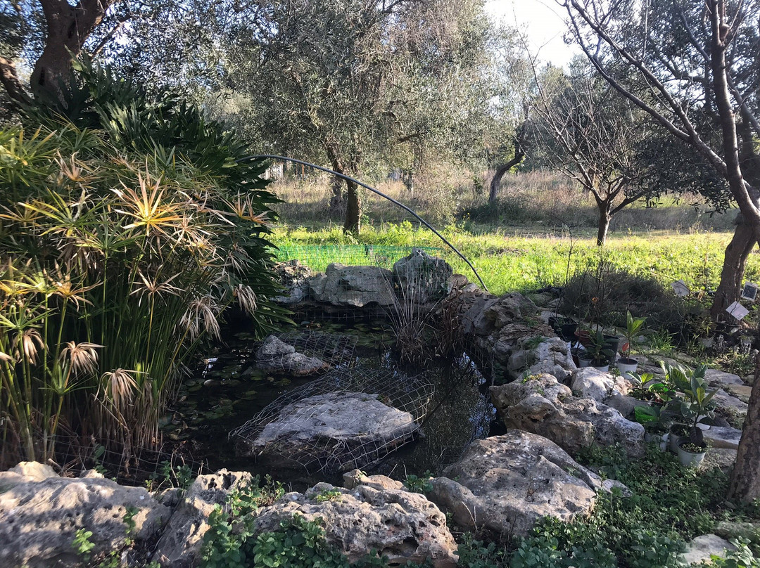 Verdeoliva Bed & Breakfast主图