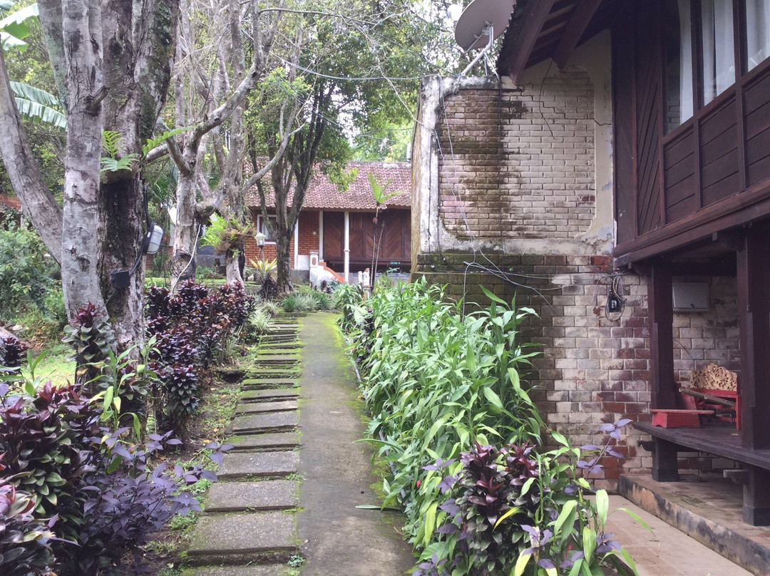 迈奈赫梁简易别墅主图