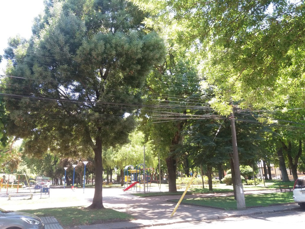 Plaza de Armas-奇廉必去景点