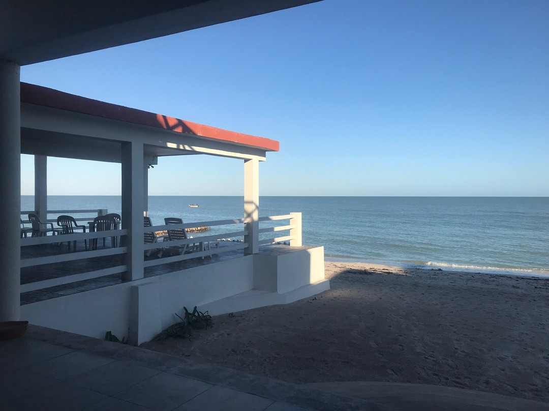 Bears En La Playa主图