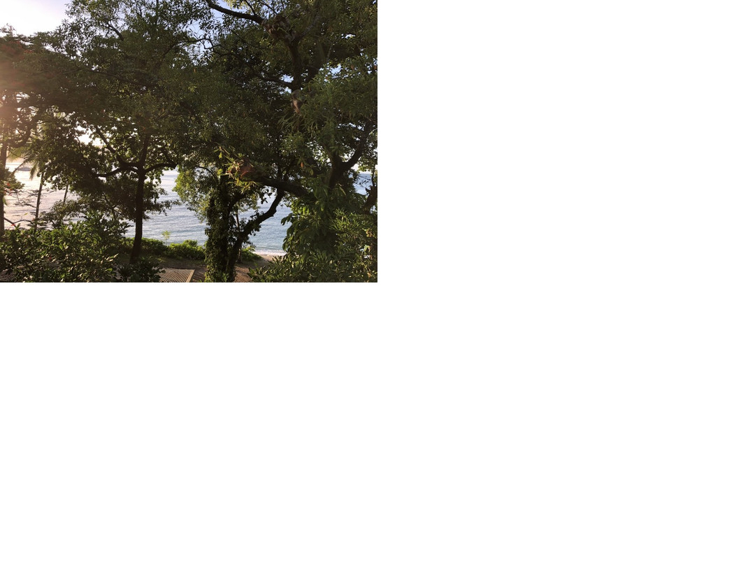 费兹洛伊岛度假村主图