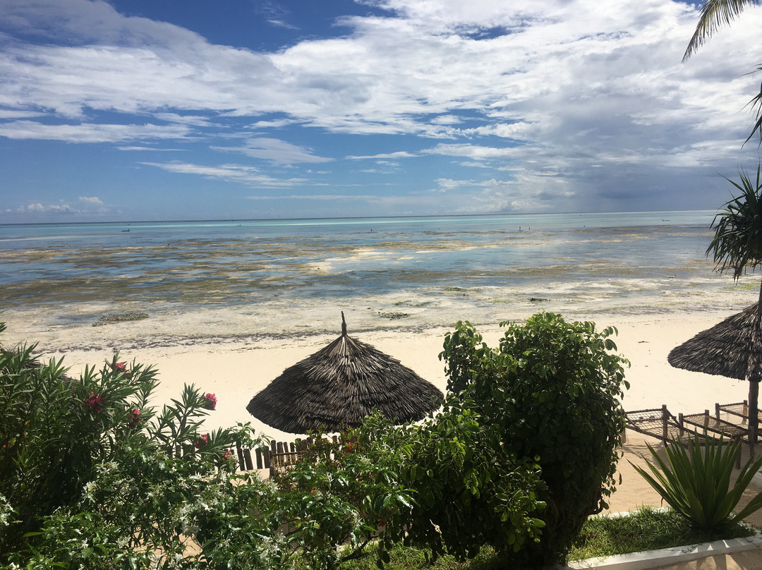 蓝牡蛎酒店主图