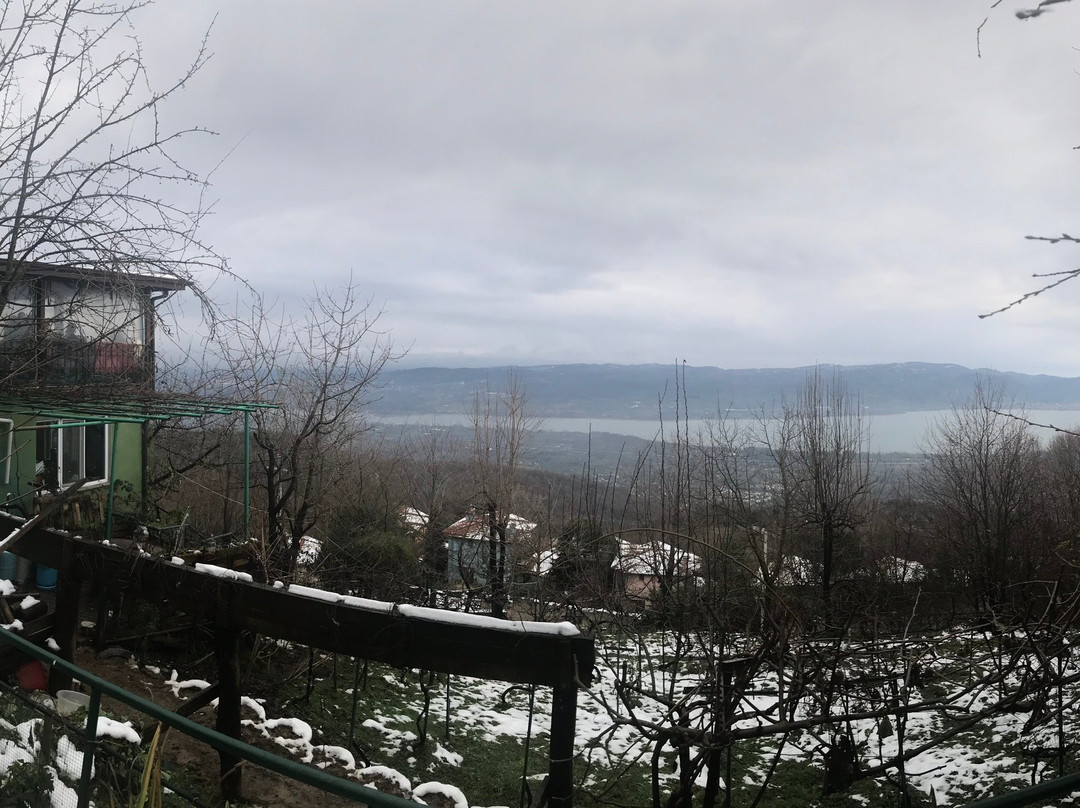 Zelis Ciftligi主图