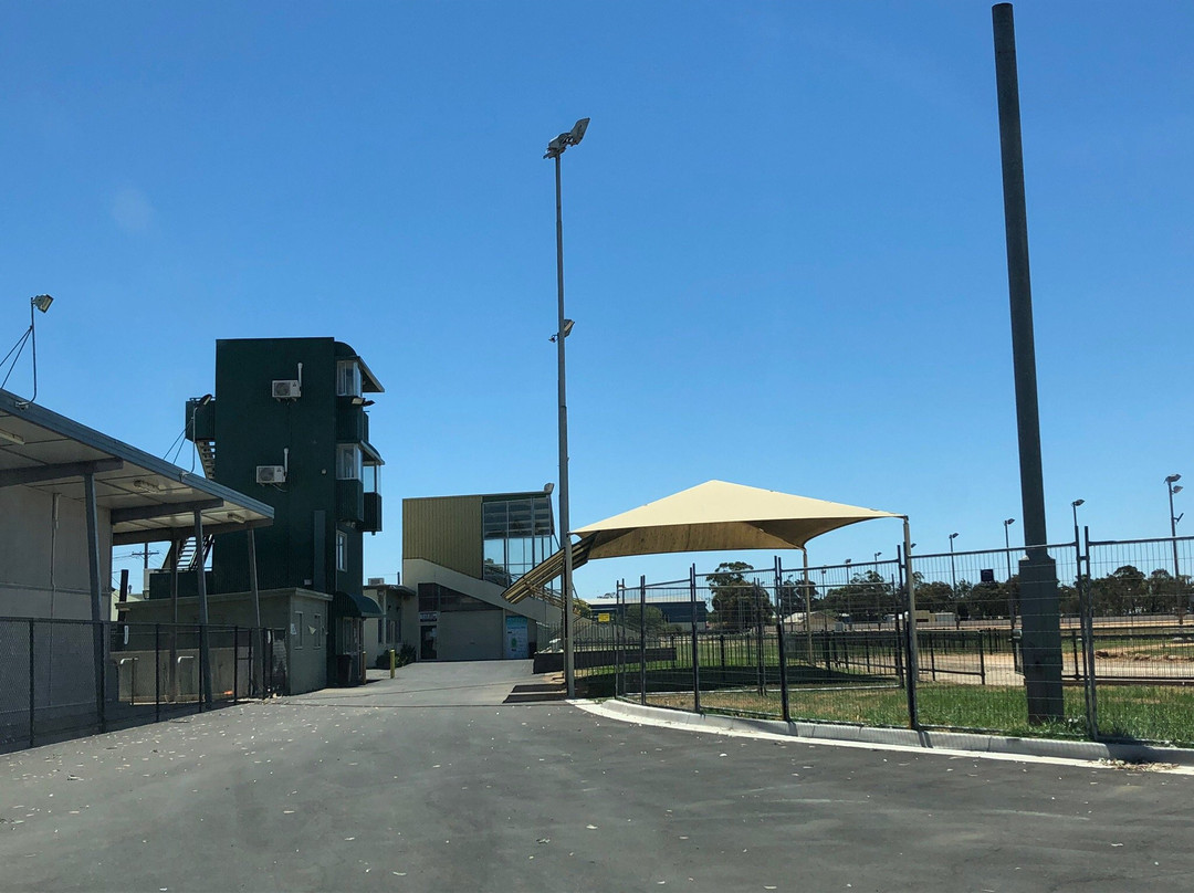 Horsham Greyhound Racing Complex-霍舌姆必去景点