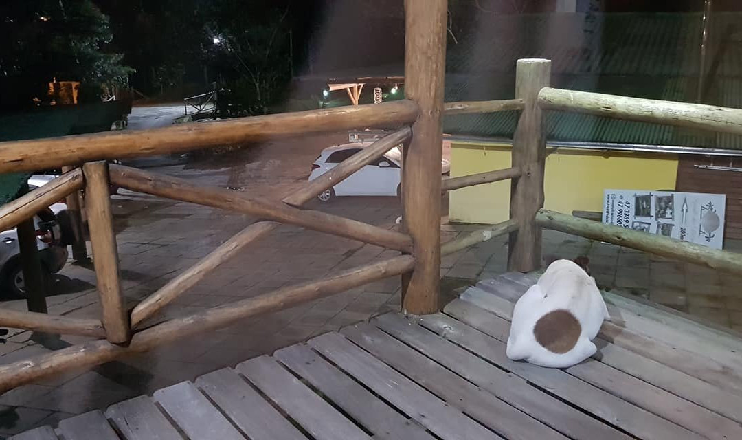 Nosso Bosque Pousada & Hotels主图