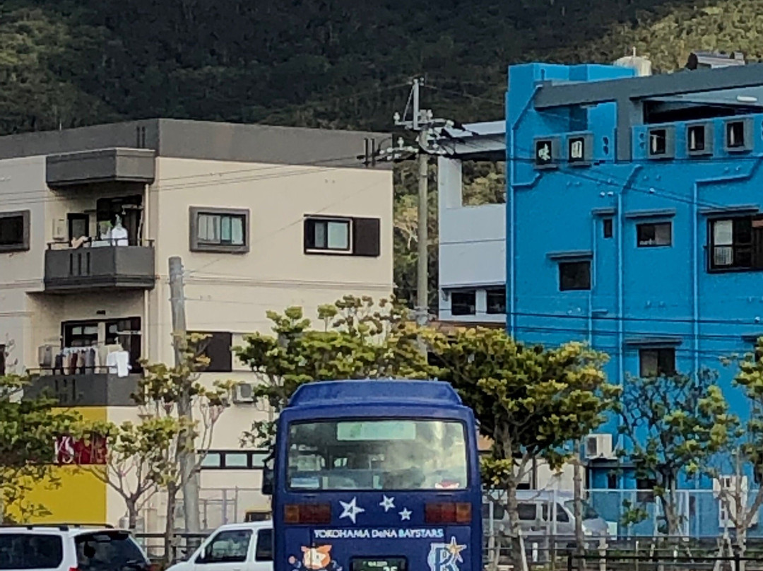 Shima Bus-奄美市必去景点