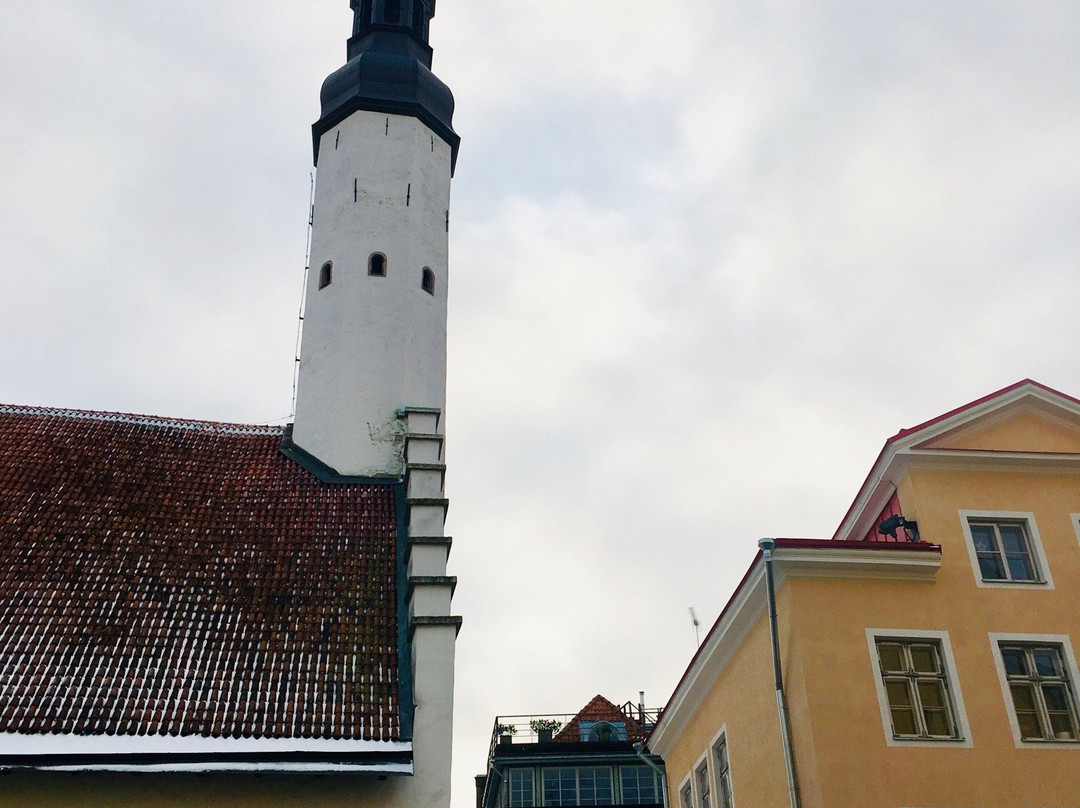 Discover Estonia-塔林必去景点