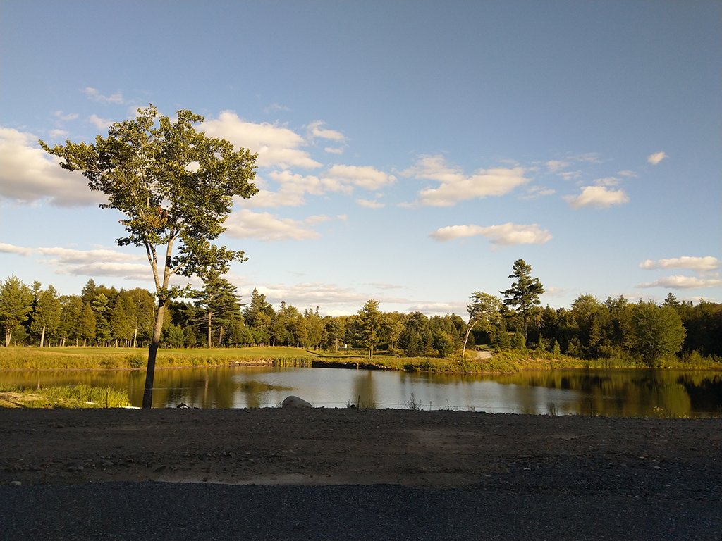 Radisson Kingswood Hotel & Suites, Fredericton, NB-浴室