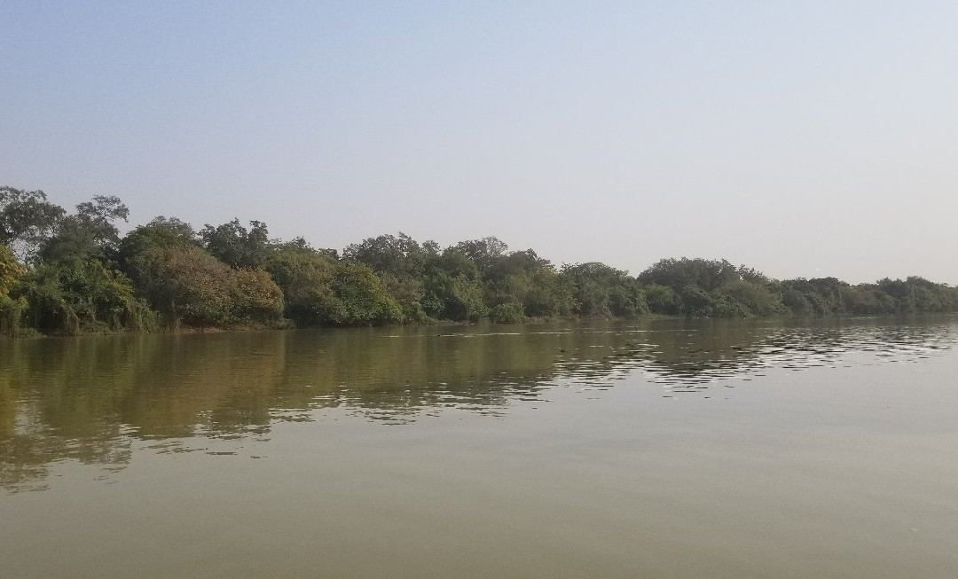 Wechiau Community Hippo Sanctuary-Wa必去景点