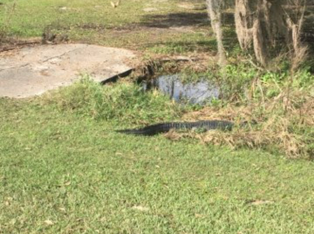 Willowbrook Golf Course-温特黑文必去景点