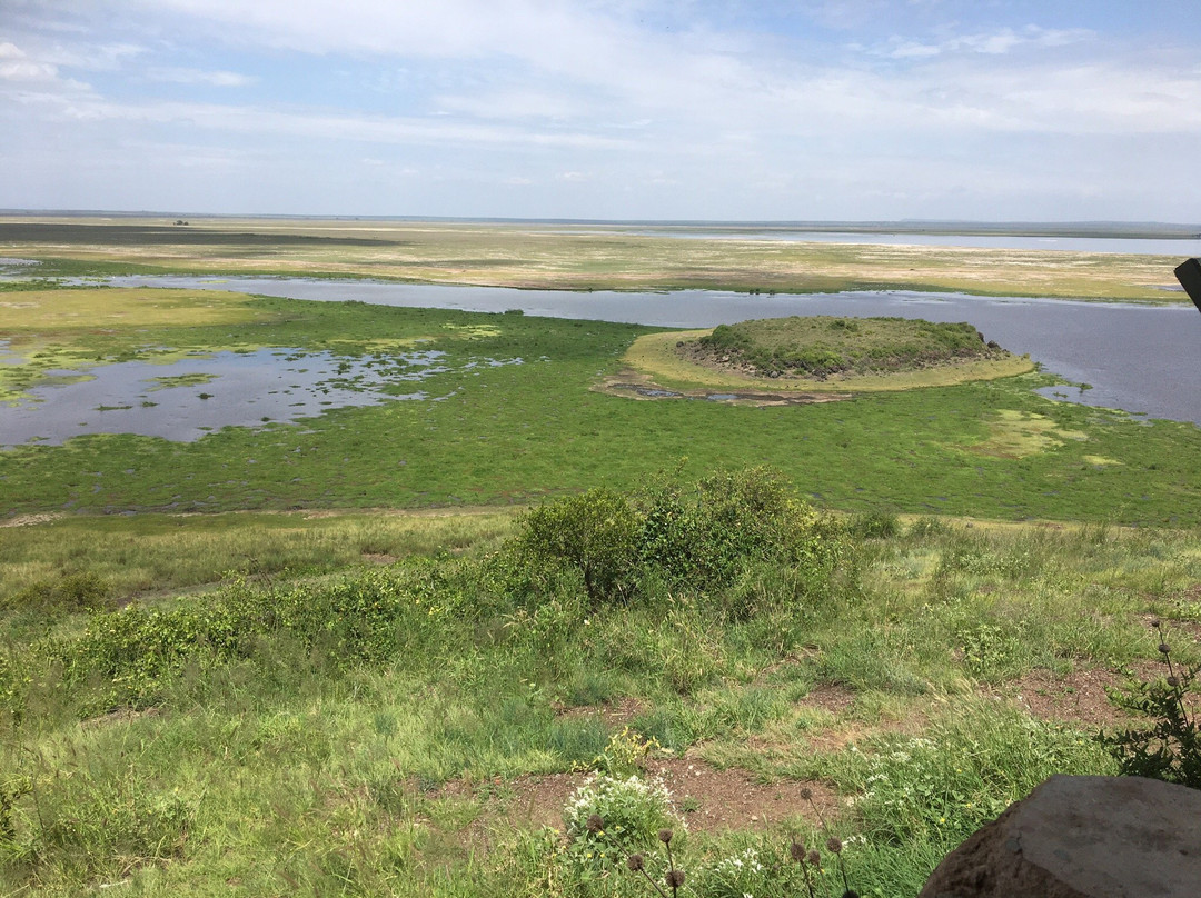 Selenkay Conservancy-Amboseli Eco-system必去景点