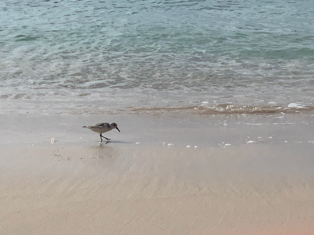 Tropical Sunset Beach Apartment Hotel主图