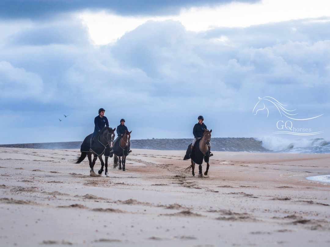 GQhorses-Gafanha da Boa-Hora必去景点