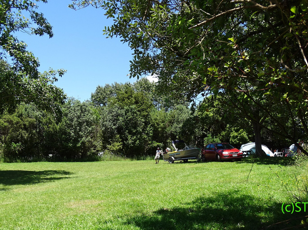 Awhitu Regional Park景点图片