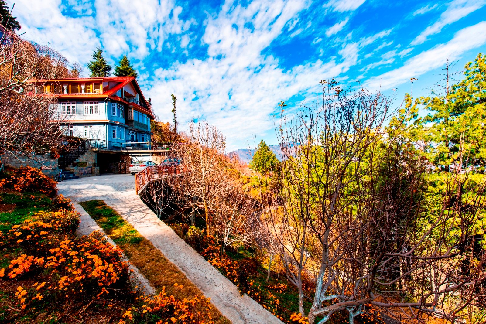 Deodar Cottage-官方