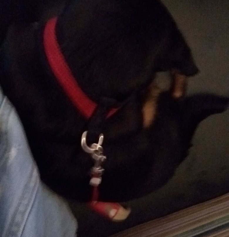 Bank of Fleet Hotel主图