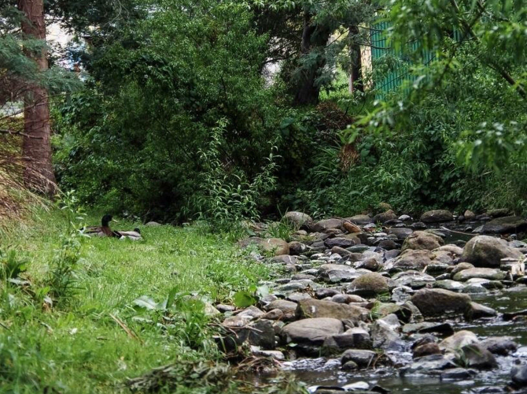 New Town Rivulet Park景点图片