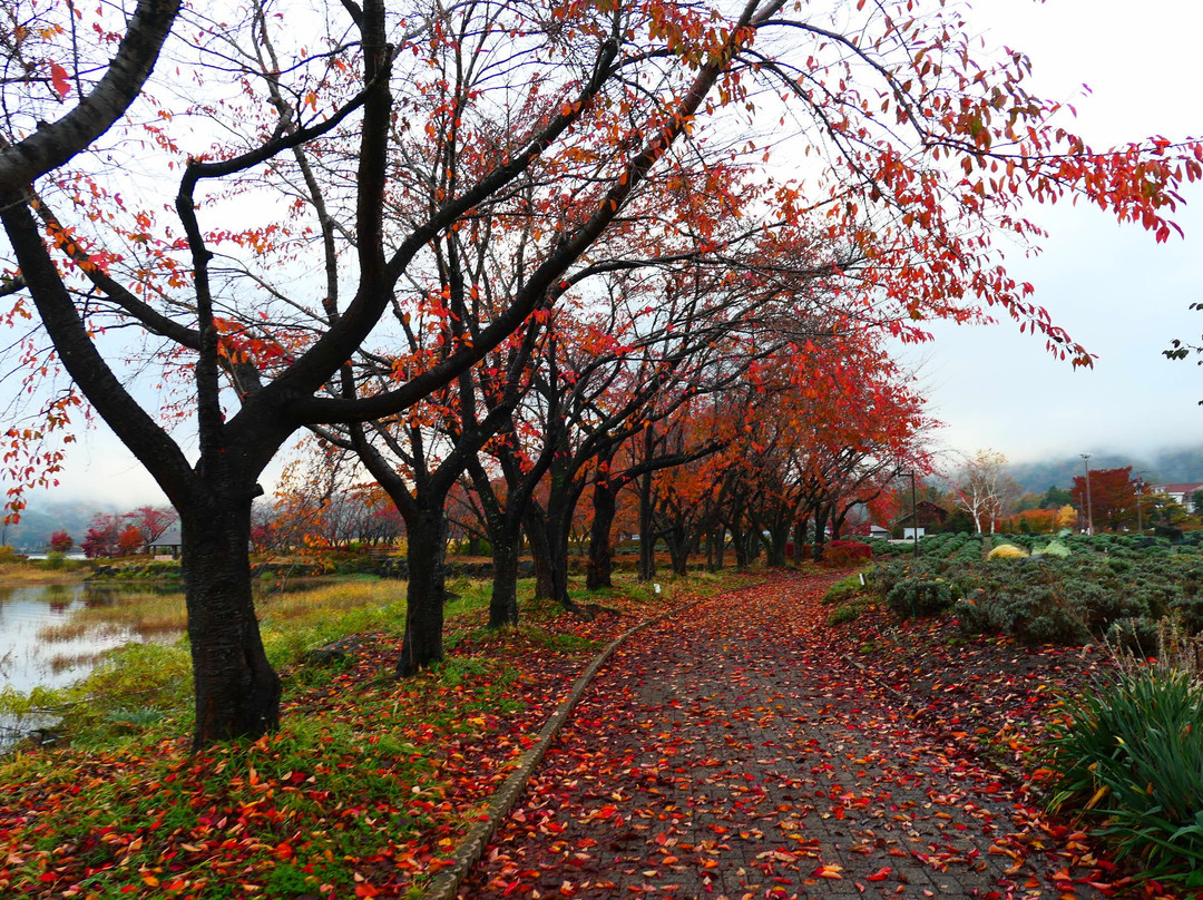 Yagizaki Park景点图片