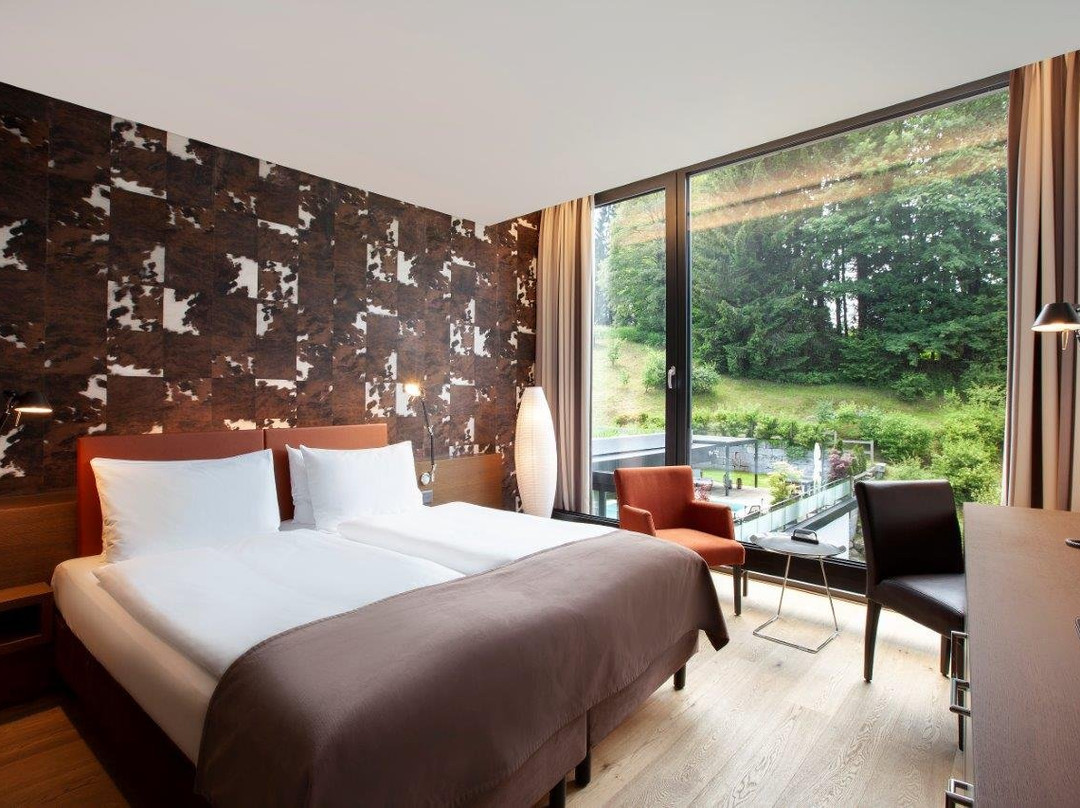 Tailormade Hotel SIHLPARK Schindellegi主图