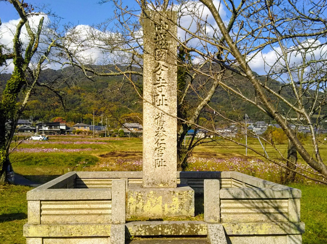 木津川市旅游景点-Remians of Kunikyu Palace