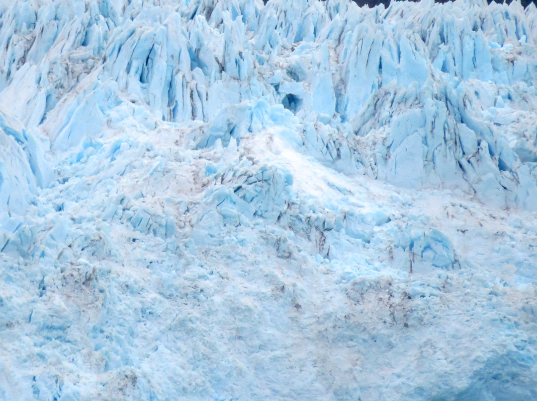 Glaciar Amalia景点图片