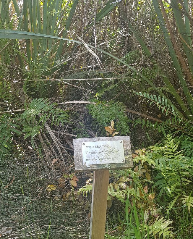 Aramoana Domain-但尼丁必去景点