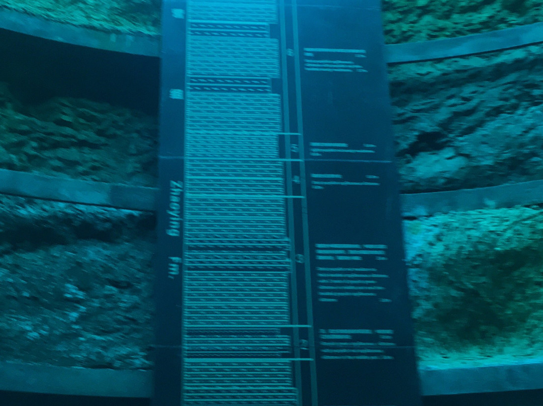 恐龙蛋化石博物馆-西峡县必去景点