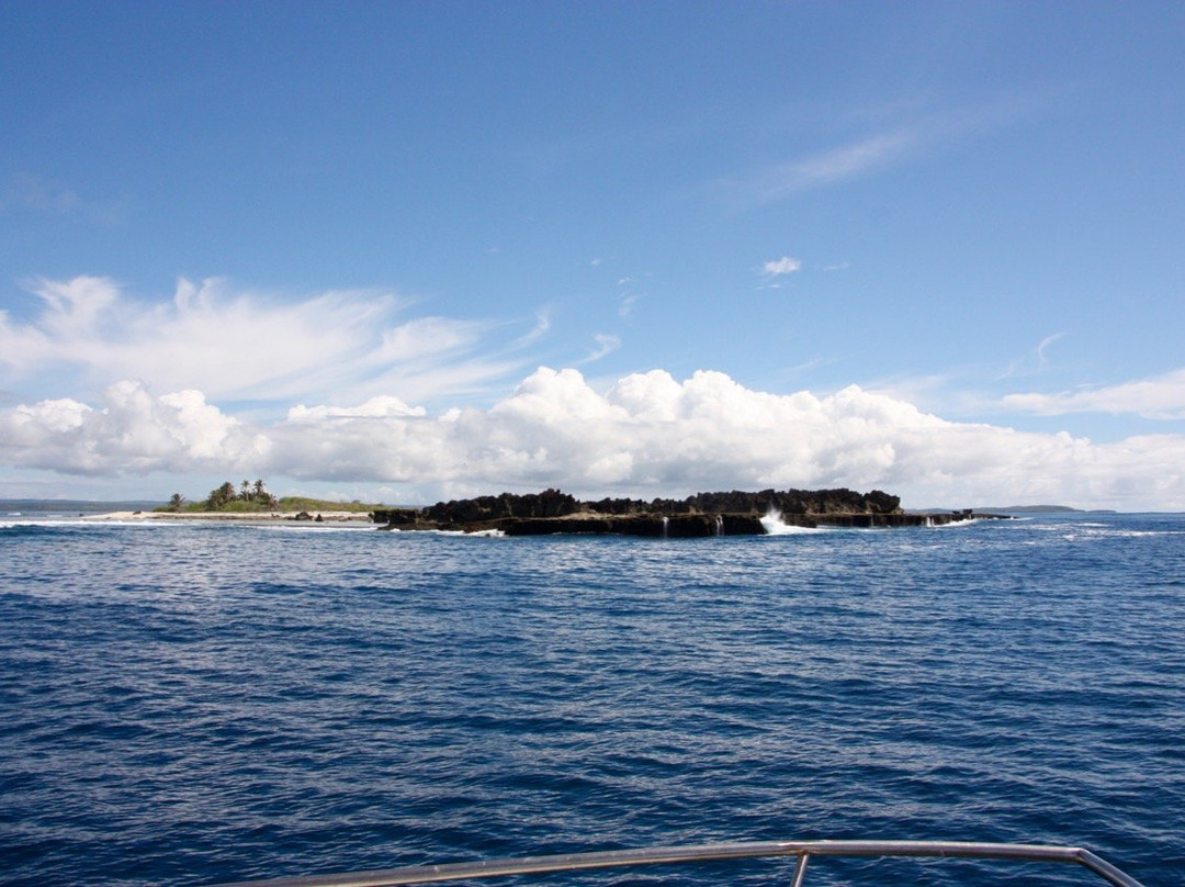 Dive Tonga景点图片